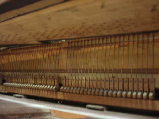 Interior of keybed Interior of keybed